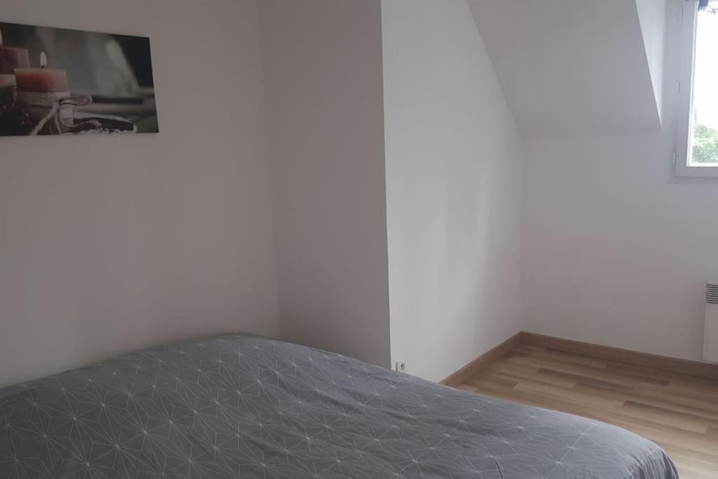 Logement Plein Centre De Plerin A Proximite Des Plages Et Des Commerces Exterior foto